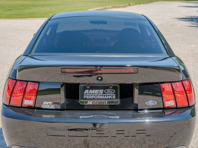 2003 Ford Mustang Terminator Cobra