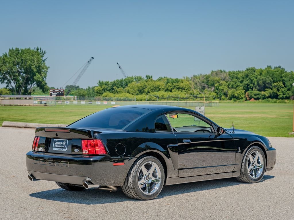 2003 Ford Mustang Terminator Cobra