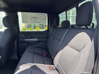 2026 Ford F-150 XLT Dark Trail