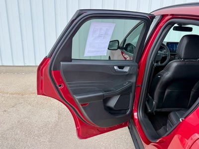 2025 Ford Escape ST-Line Elite