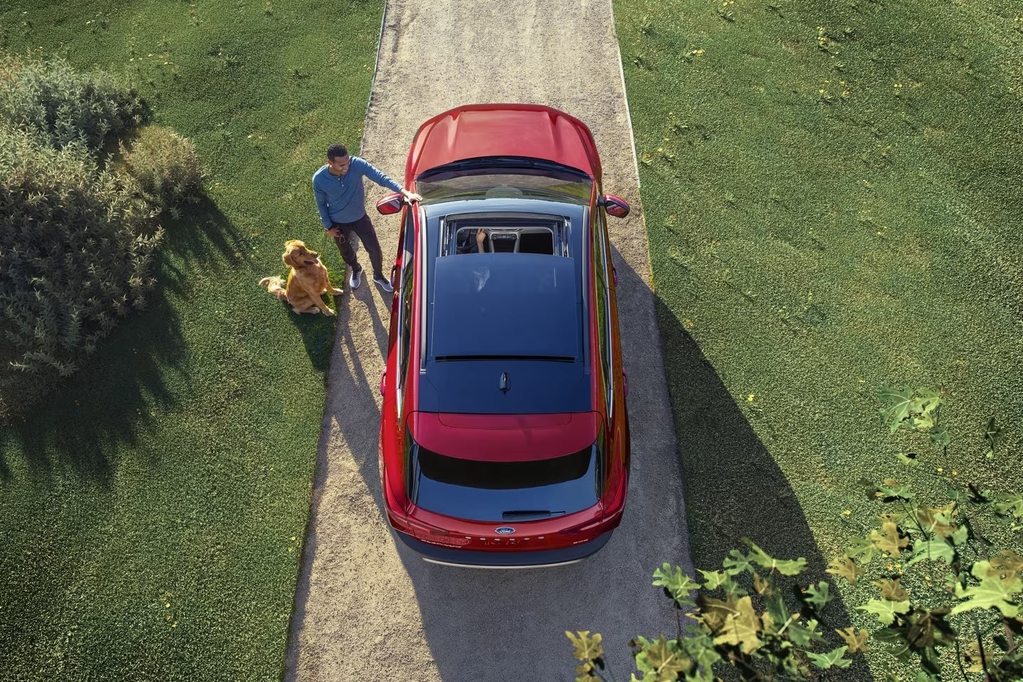 2024 Ford Escape roof